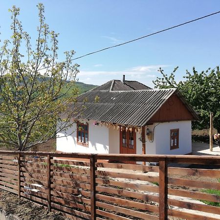 Pensiunea Turistica "Casa Rustica" Villa Chiscareni Exterior photo