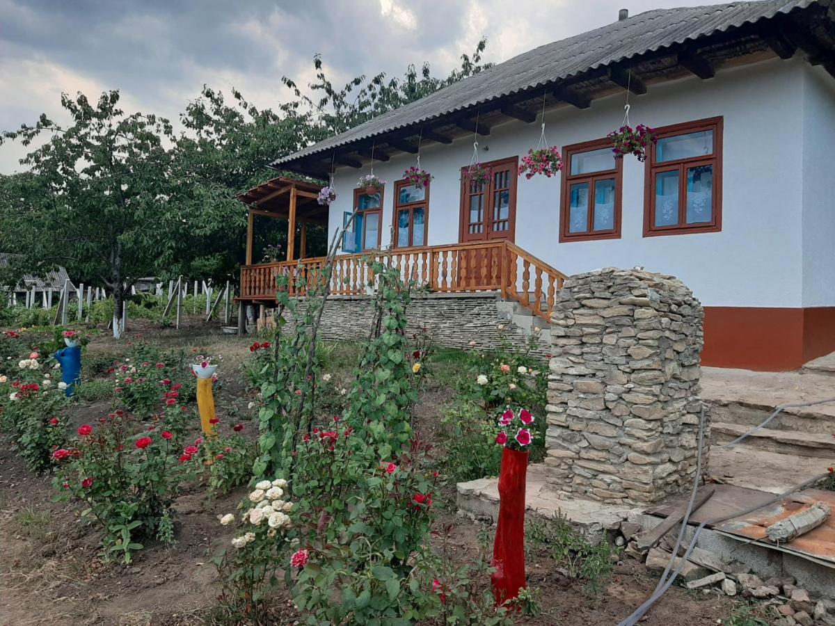 Pensiunea Turistica "Casa Rustica" Villa Chiscareni Exterior photo