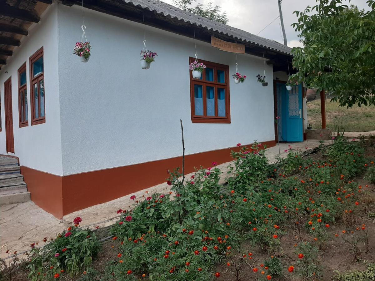 Pensiunea Turistica "Casa Rustica" Villa Chiscareni Exterior photo