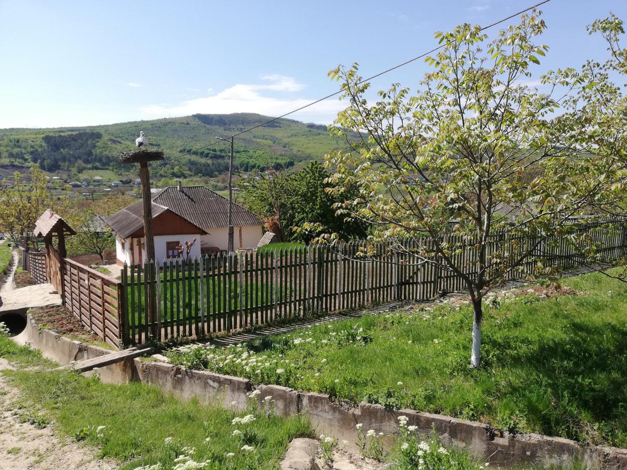 Pensiunea Turistica "Casa Rustica" Villa Chiscareni Exterior photo