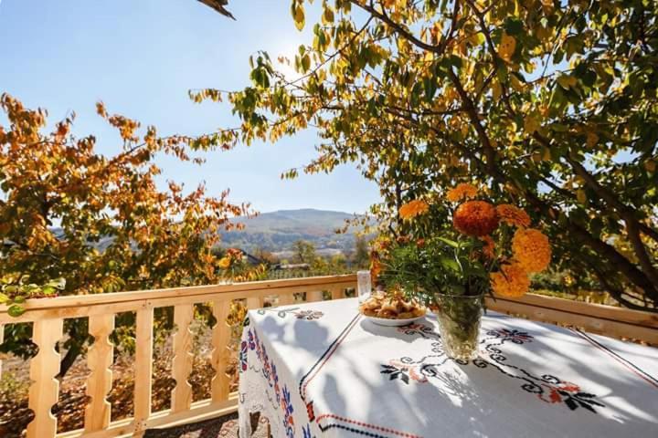 Pensiunea Turistica "Casa Rustica" Villa Chiscareni Exterior photo