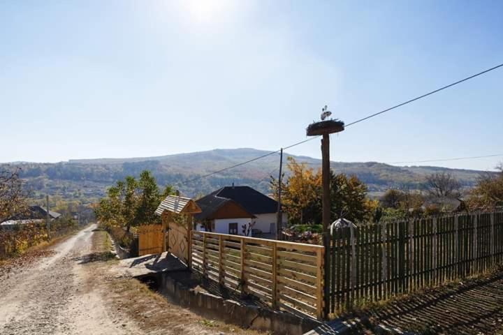 Pensiunea Turistica "Casa Rustica" Villa Chiscareni Exterior photo