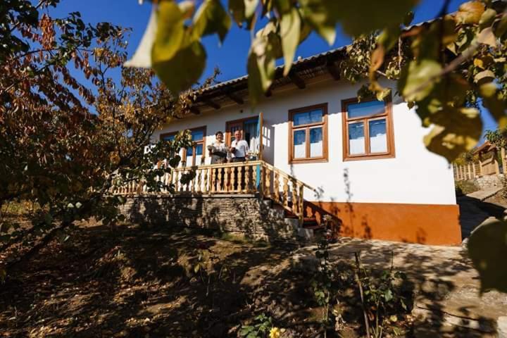 Pensiunea Turistica "Casa Rustica" Villa Chiscareni Exterior photo
