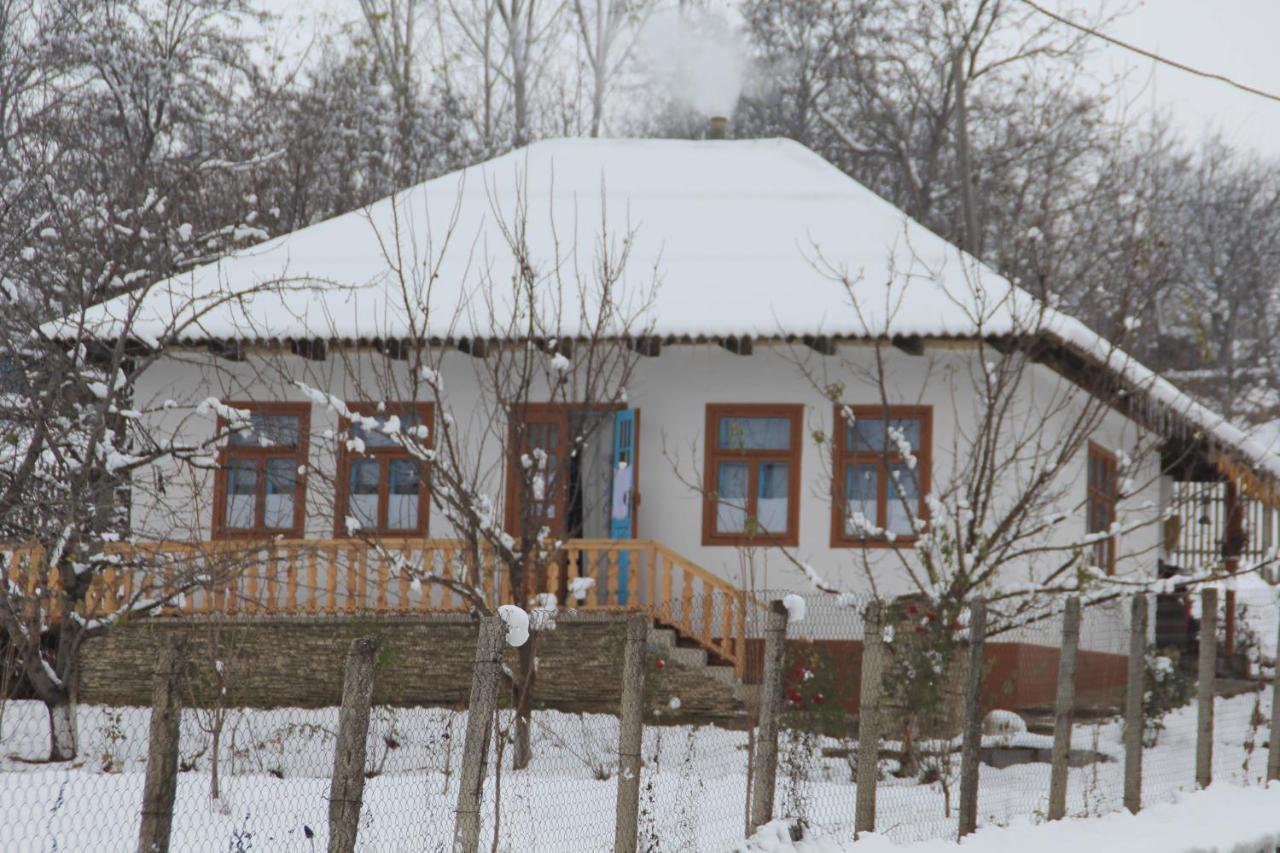 Pensiunea Turistica "Casa Rustica" Villa Chiscareni Exterior photo