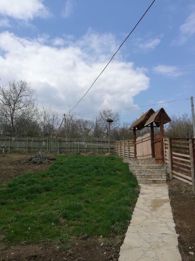 Pensiunea Turistica "Casa Rustica" Villa Chiscareni Exterior photo