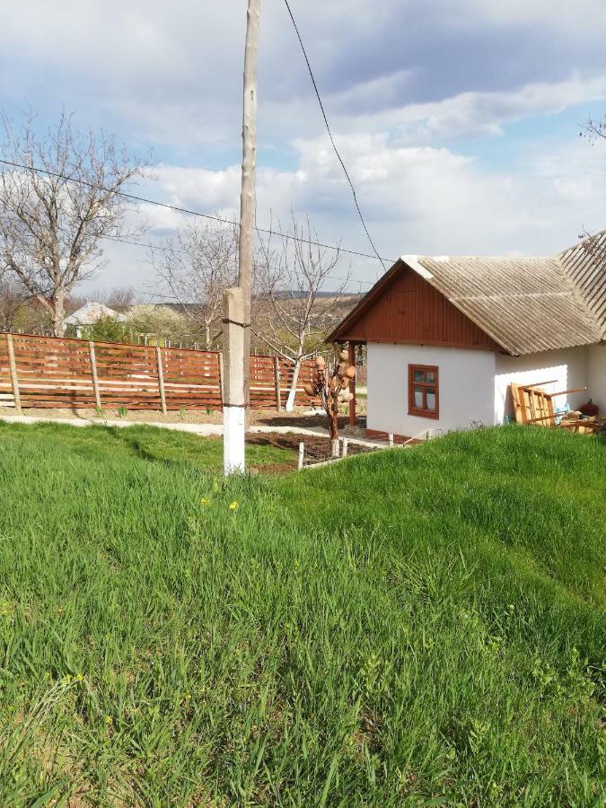 Pensiunea Turistica "Casa Rustica" Villa Chiscareni Exterior photo