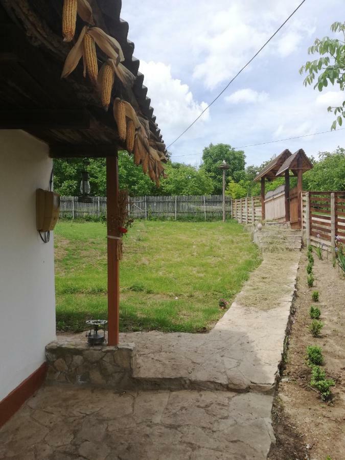 Pensiunea Turistica "Casa Rustica" Villa Chiscareni Exterior photo