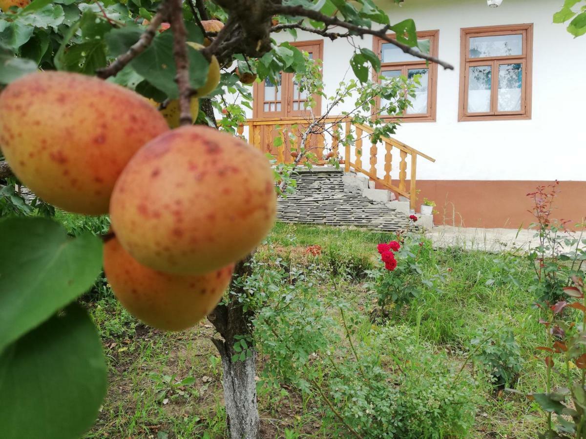 Pensiunea Turistica "Casa Rustica" Villa Chiscareni Exterior photo