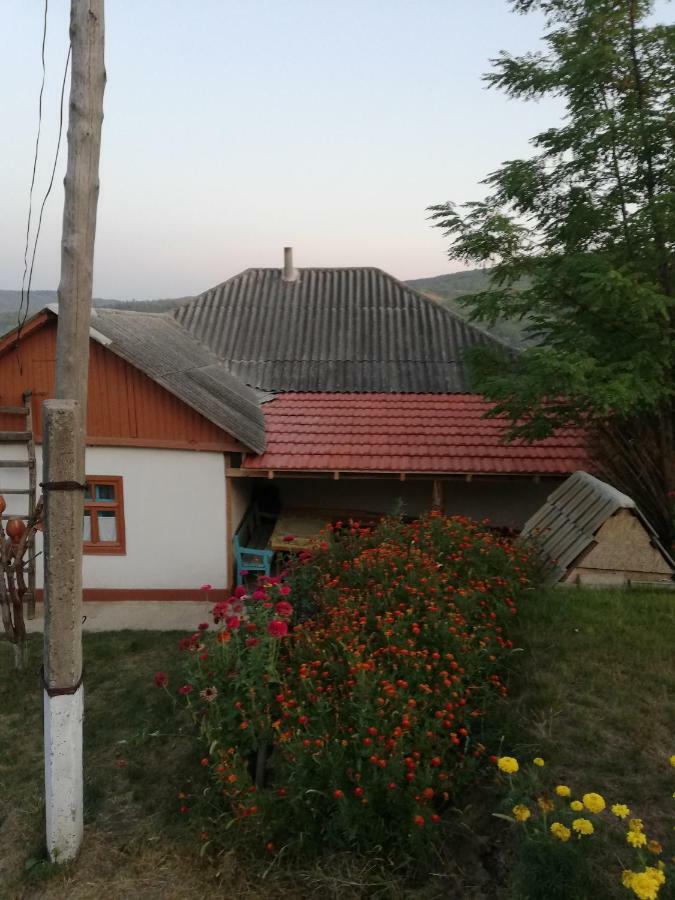 Pensiunea Turistica "Casa Rustica" Villa Chiscareni Exterior photo