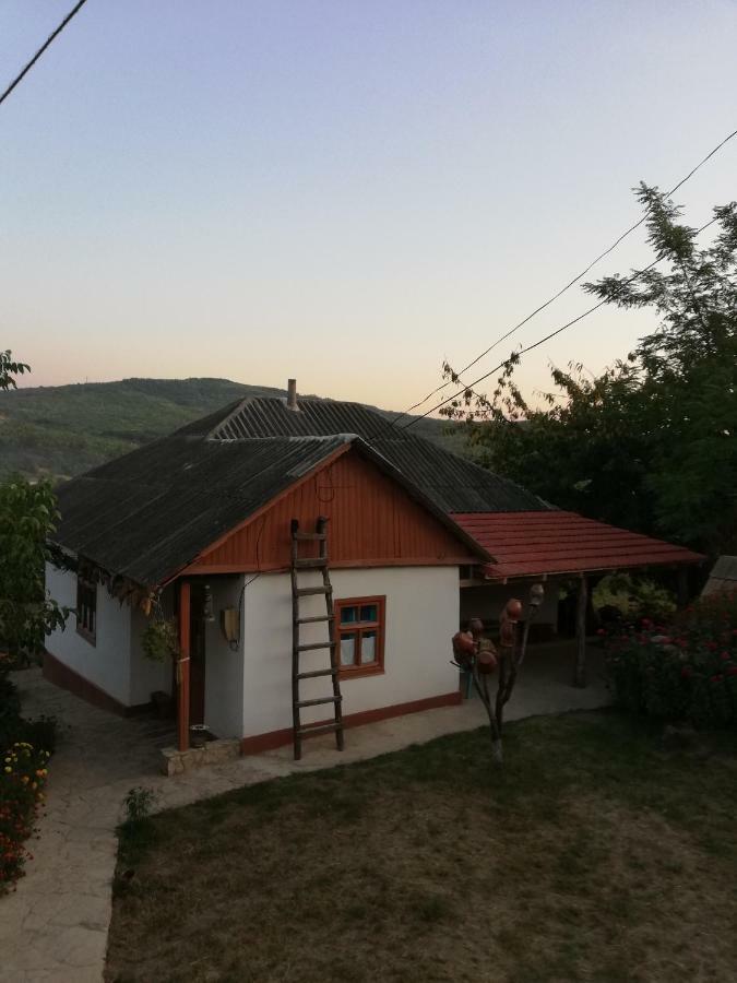 Pensiunea Turistica "Casa Rustica" Villa Chiscareni Exterior photo